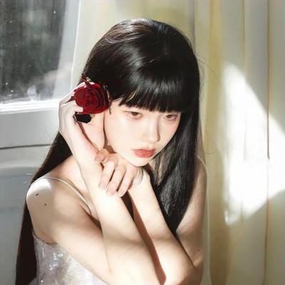 哈兰·科本的庇护所